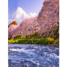  Natura34 öntapadó és mosható fali tapéta, 150 x 205 cm tapéta, díszléc és más dekoráció