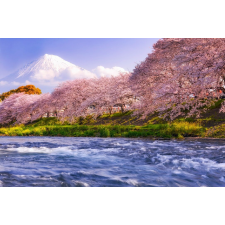  Natura34 öntapadós és mosható fali tapéta, 200 x 150 cm tapéta, díszléc és más dekoráció