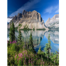  Natura43 öntapadós tapéta, 150 x 205 cm tapéta, díszléc és más dekoráció