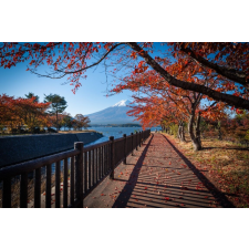  Natura44 öntapadó és mosható fali tapéta, 350 x 200 cm tapéta, díszléc és más dekoráció