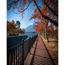  Natura44 öntapadós tapéta, 150 x 205 cm tapéta, díszléc és más dekoráció