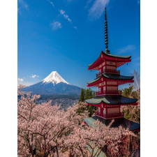  Natura45 öntapadó és mosható fali tapéta, 150 x 205 cm tapéta, díszléc és más dekoráció