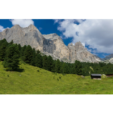  Natura47 öntapadós és mosható fali tapéta, 200 x 150 cm tapéta, díszléc és más dekoráció