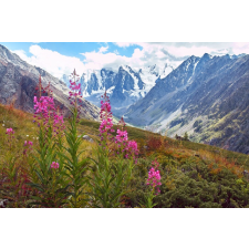  Natura64 öntapadós tapéta, 200 x 150 cm tapéta, díszléc és más dekoráció