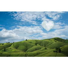  Natura67 öntapadó és mosható fali tapéta, 300 x 200 cm tapéta, díszléc és más dekoráció