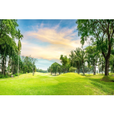  Natura69 öntapadós és mosható fali tapéta, 250 x 150 cm tapéta, díszléc és más dekoráció