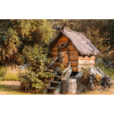  Natura77 öntapadós és mosható fali tapéta, 300 x 200 cm tapéta, díszléc és más dekoráció