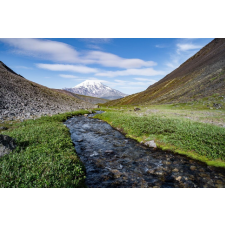  Natura80 öntapadós és mosható fali tapéta, 250 x 200 cm tapéta, díszléc és más dekoráció