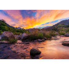  Natura88 öntapadós és mosható fali tapéta, 300 x 200 cm tapéta, díszléc és más dekoráció