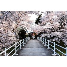  Natura91 öntapadó és mosható fali tapéta, 200 x 150 cm tapéta, díszléc és más dekoráció