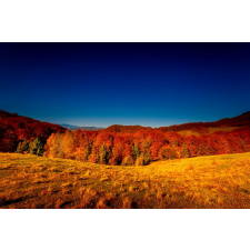  Natura92 öntapadó és mosható fali tapéta, 250 x 150 cm tapéta, díszléc és más dekoráció