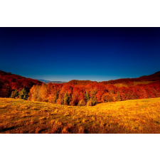  Natura92 öntapadós tapéta, 250 x 150 cm tapéta, díszléc és más dekoráció