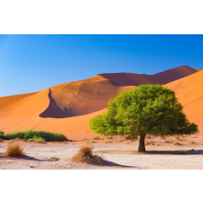  Natura93 öntapadós és mosható fali tapéta, 350 x 200 cm tapéta, díszléc és más dekoráció