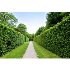  Natura94 öntapadós tapéta, 250 x 200 cm tapéta, díszléc és más dekoráció