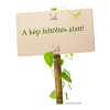  NATURLAND INNO-REUMA KRÉM 100 G