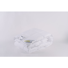 NATURTEX Aloe Vera paplan 140x200 cm - 1200g lakástextília