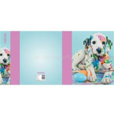 Nebulo Füzetbox, A5, Dalmata, Nebulo (NEBULO_55850) füzetbox
