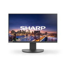 NEC EA241F (60006212) monitor