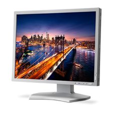 NEC P212 monitor