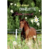 Nele Neuhaus Charlotte 6. - Tűzön-vízen át