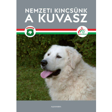 Nemzeti kincsünk a kuvasz hobbi, szabadidő