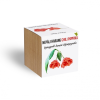  Nepáli harang chili paprika növényem fa kaspóban