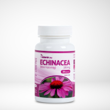 Netamin Echinacea kapszula 30 db 380 mg vitamin és táplálékkiegészítő