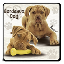 Nevlini Kutyás hűtőmágnes, Bordeaux Dog ajándéktárgy
