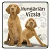 Nevlini Kutyás hűtőmágnes, Magyar vizsla