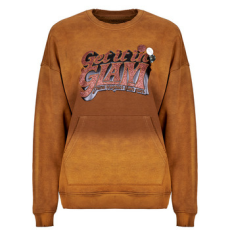 Newtone Pulóverek PIPER BRIGHTER Barna T0