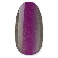 NiiZA Gel Polish 4ml - 238 cat eye körömdíszítő