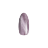 NiiZA Gel Polish 7ml - 543 Cat Eye