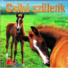 Nincs megadva Csikó születik (Pony Club) antikvárium - használt könyv