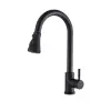 Nonbrand Konyhai mosogató csaptelep, Blackswan, M79 típus 3 üzemmóddal, matt fekete modell, 42 cm