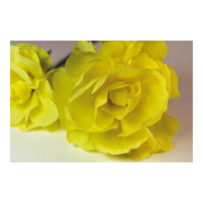 Nonbrand Krepp-papír 200x50 cm citromsárga decoupage papír