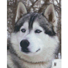 Nonbrand Pixel szett 9 normál alaplappal, színekkel, farkas (809032) kreatív és készségfejlesztő