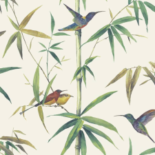 Noordwand ekrü kolibri és bambusz tapéta tapéta, díszléc és más dekoráció