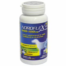  Noroflex 600+100mg 60db ízületvédő, fájdalomcsökkentő rágótabletta vitamin, táplálékkiegészítő kutyáknak
