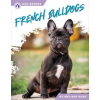 North Star Editions French Bulldogs | Melissa Ross