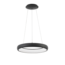 Nova Luce Albi LED NL-8105620 függeszték világítás
