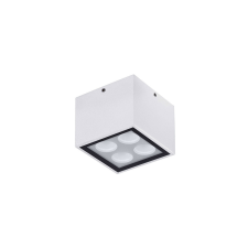 Nova Luce Jax NL-9030948 kültéri mennyezeti lámpa kültéri világítás