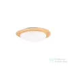 Nova Luce Nimbus LED mennyezeti lámpa NL-9030647