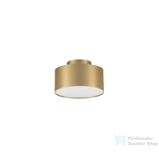 Nova Luce Ozen LED mennyezeti lámpa NL-9695172 világítás