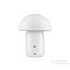 Nova Luce Pois LED asztali lámpa NL-9050171