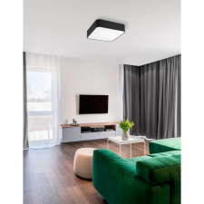 Nova Luce Ragu NL-866602 mennyezeti lámpa világítás