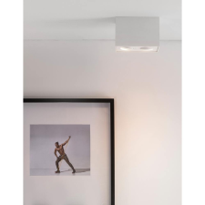 Nova Luce Rende mennyezeti lámpa NL-820602 világítás
