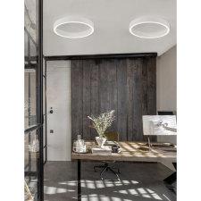 Nova Luce Sting LED NL-9558609 mennyezeti lámpa világítás