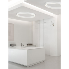 Nova Luce Sting LED NL-9558660 mennyezeti lámpa világítás