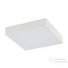 Nowodvorski Lid Square LED mennyezeti lámpa TL-10431