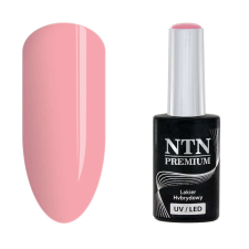 NTN Premium New - 141 műköröm zselé
